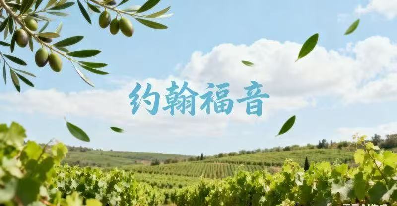 《约翰福音》讲道录音