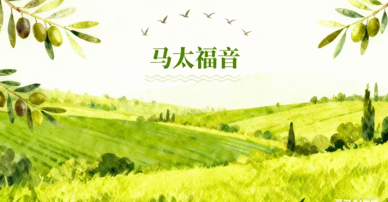 《马太福音》讲道录音