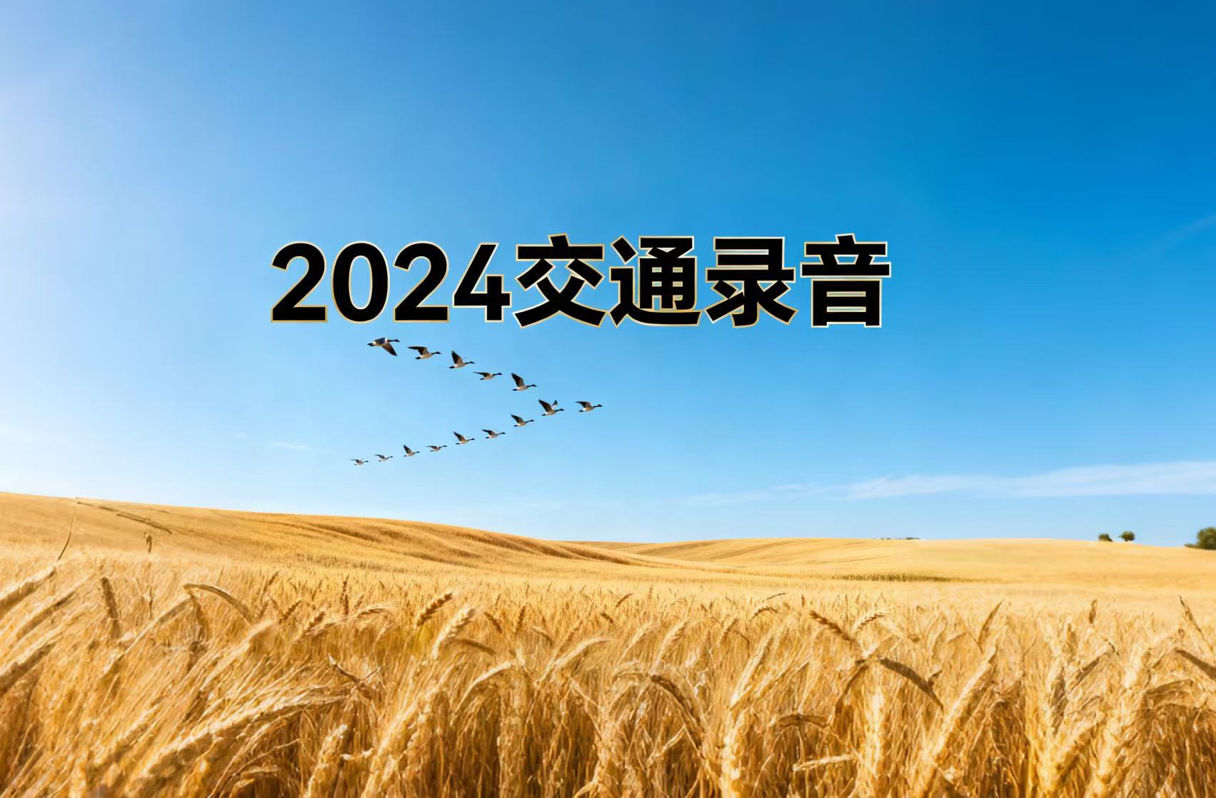 2024交通录音